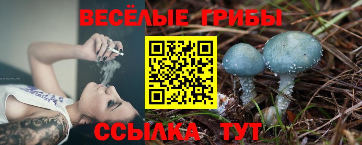 Псилоцибиновые грибы прущие грибы  Галлюциногенные грибы MAGIC MUSHROOMS  Советская Гавань  Вход с VPN 
